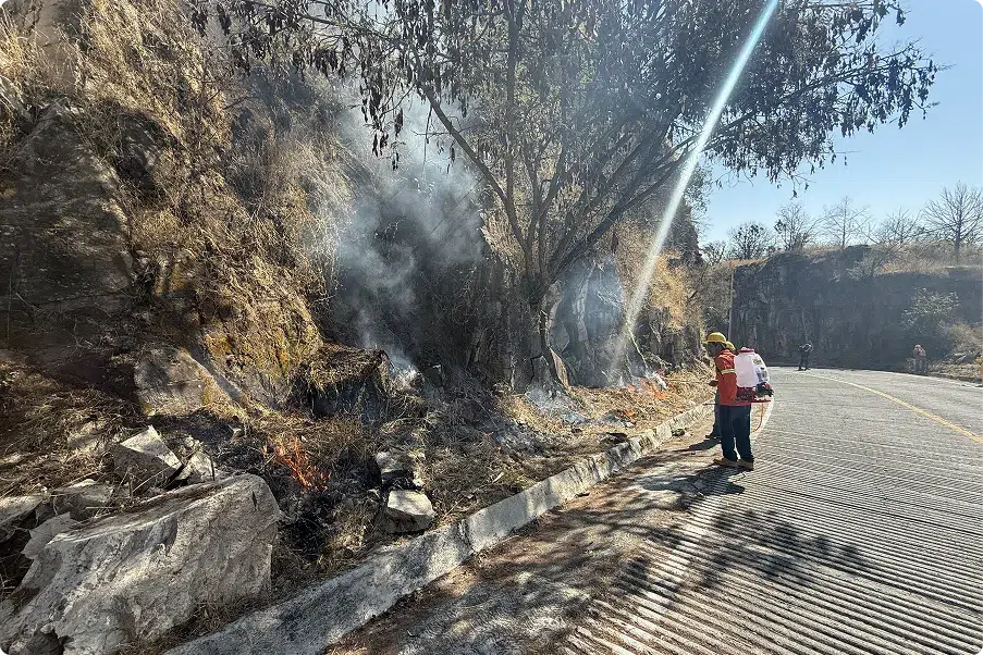 Ejercicio de brigadas de prevención de incendios en la carretera | Fundación Martí