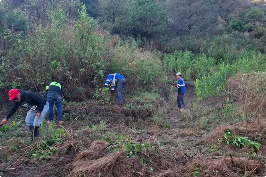 Ejercicio de brigadas de prevención de incendios en la carretera | Fundación Martí