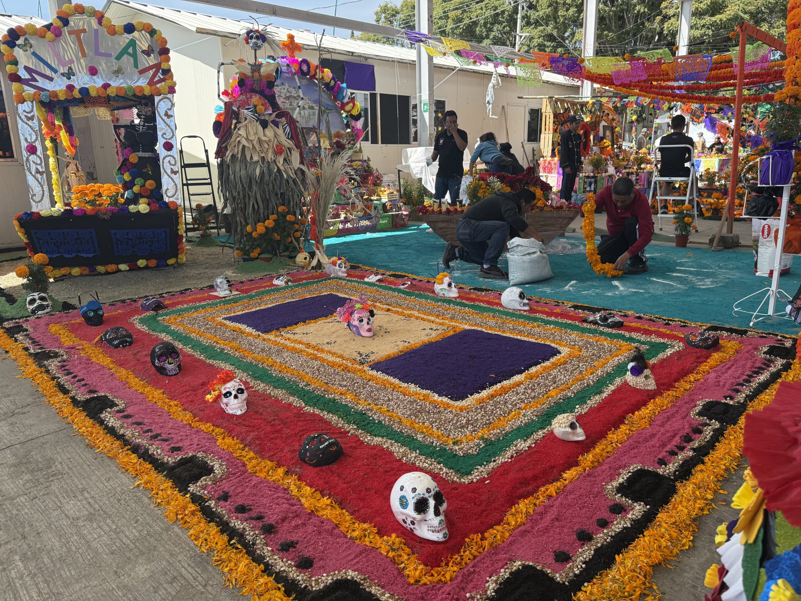 Concurso de Altares y Calaveritas | Fundación Martí