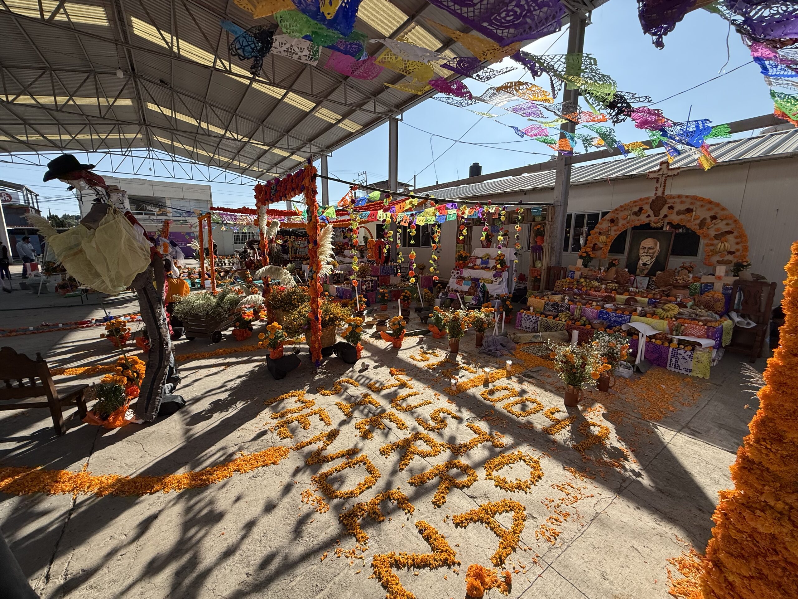 Concurso de Altares y Calaveritas | Fundación Martí