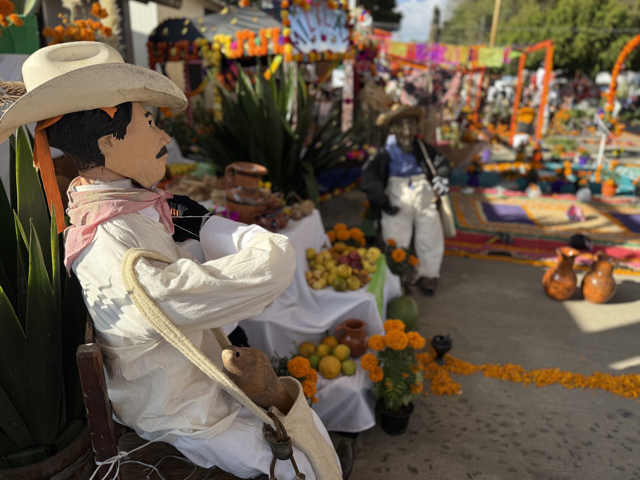 Concurso de Altares y Calaveritas | Fundación Martí