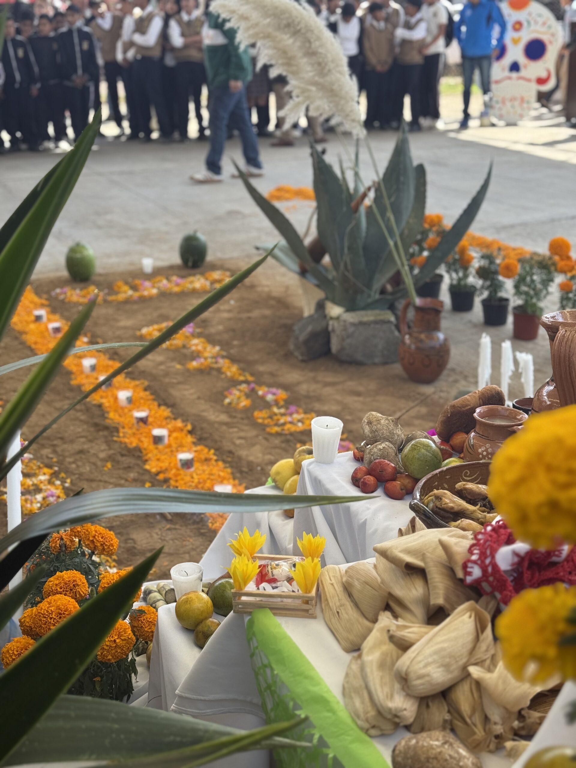 Concurso de Altares y Calaveritas | Fundación Martí