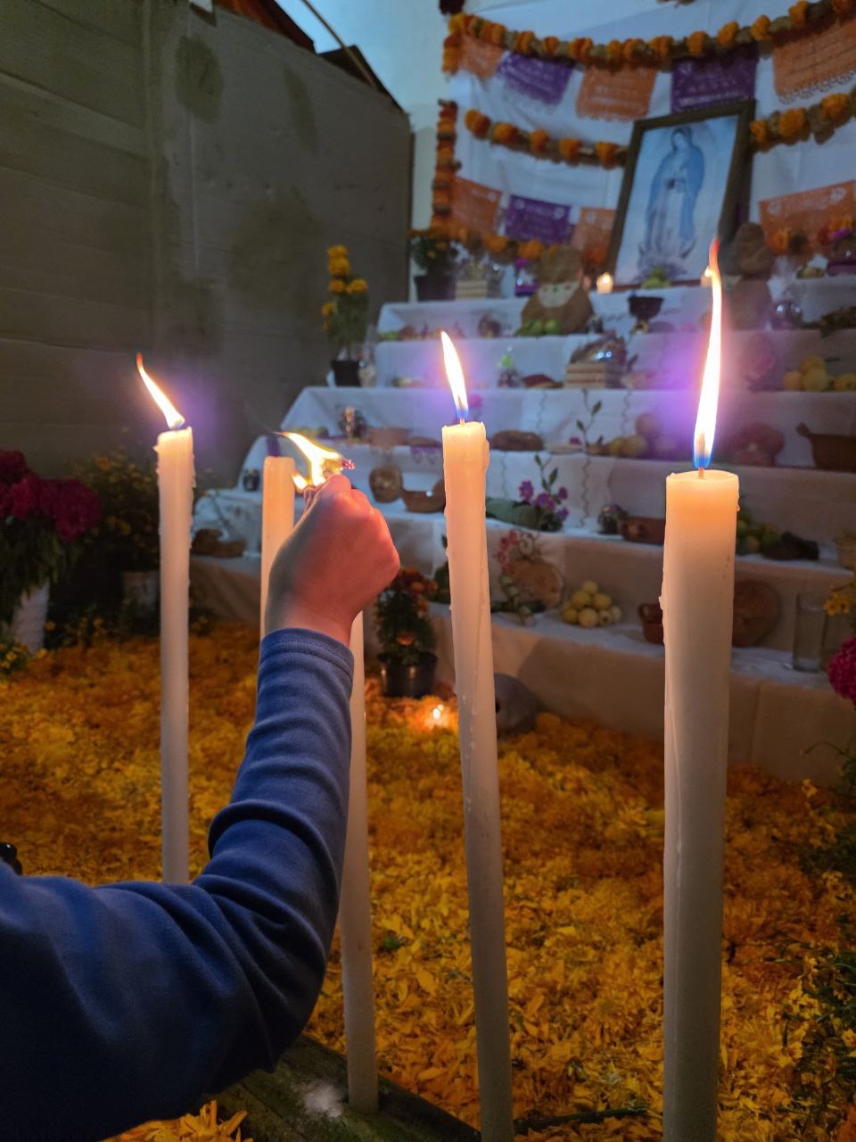 Concurso de Altares y Calaveritas | Fundación Martí