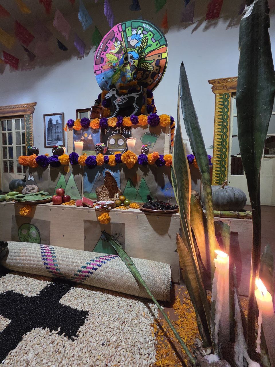 Concurso de Altares y Calaveritas | Fundación Martí